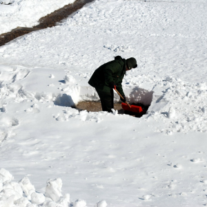 snow removal greeley Royal J Services